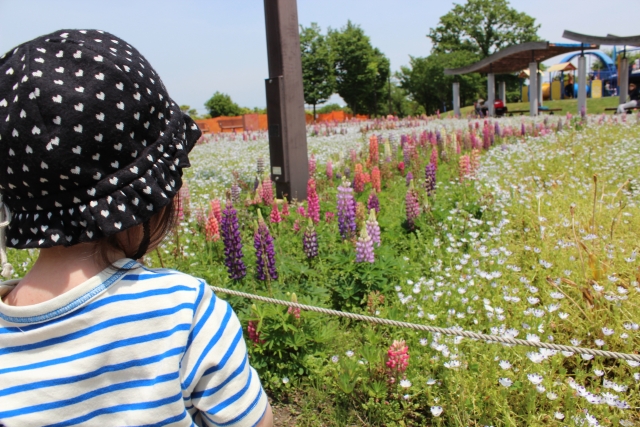 幼児の散歩風景