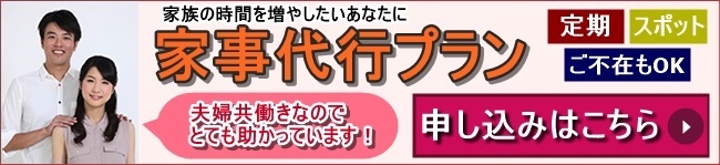 1番人気のスタンダード 家事代行プラン