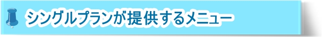 Goenの家事代行シングルプランが提供するメニュー